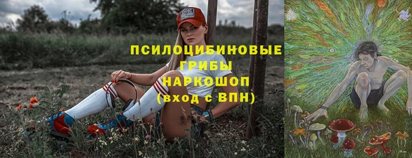 бошки Алексеевка