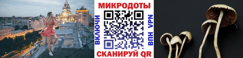 Галлюциногенные грибы Psilocybe  где продают   площадка телеграм  Перевоз 